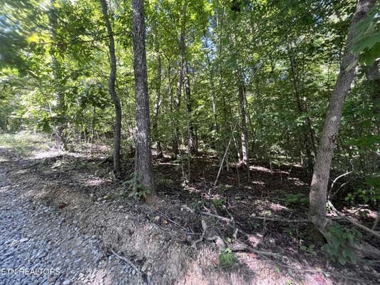 LITTLE SYCAMORE RD, TAZEWELL, TN 37879 - Image 1