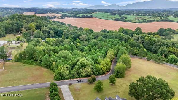 OCOEE RIVER LANDING DRIVE, BENTON, TN 37307, photo 2 of 19