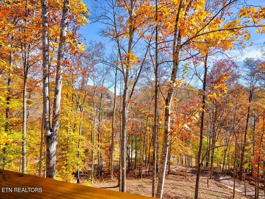 New Tazewell, Tennessee, 37825, United States, 2 Bedrooms Bedrooms, ,2 BathroomsBathrooms,Residential,Active,2007646