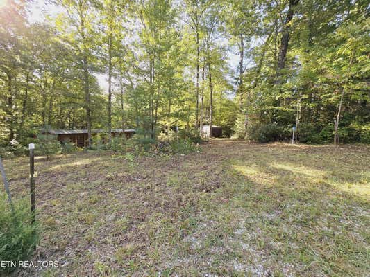 BEAR HOLLOW TRL. RD, ONEIDA, TN 37841 - Image 1