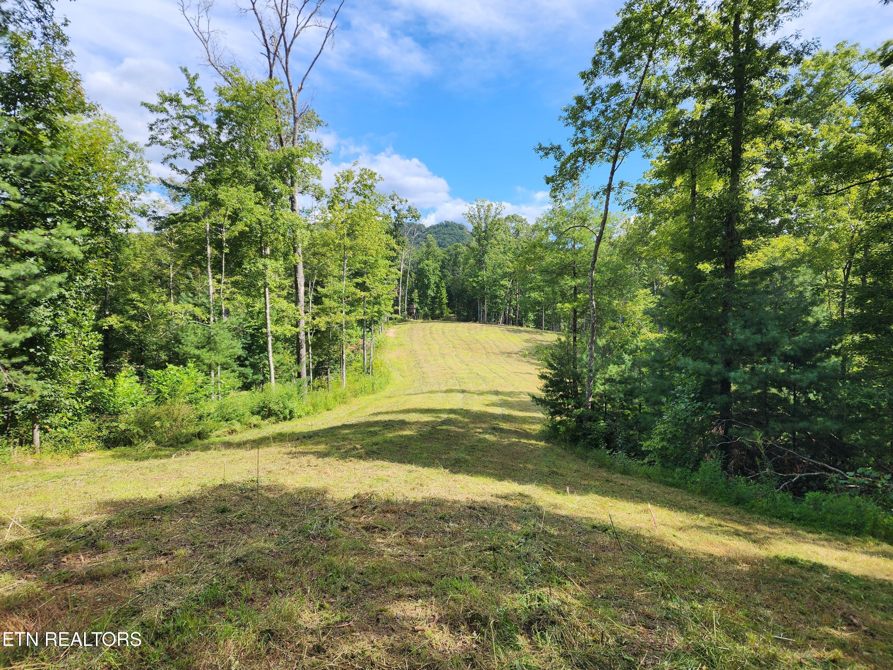 Walland, Tennessee, 37886, United States, 7 Bedrooms Bedrooms, ,6 BathroomsBathrooms,Residential,Active,1910366