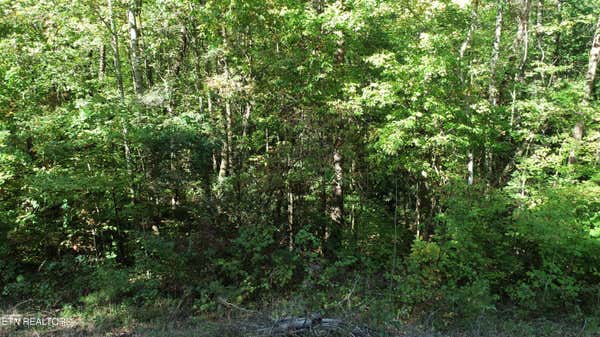 GOOSE CREEK RD, SEYMOUR, TN 37865 - Image 1