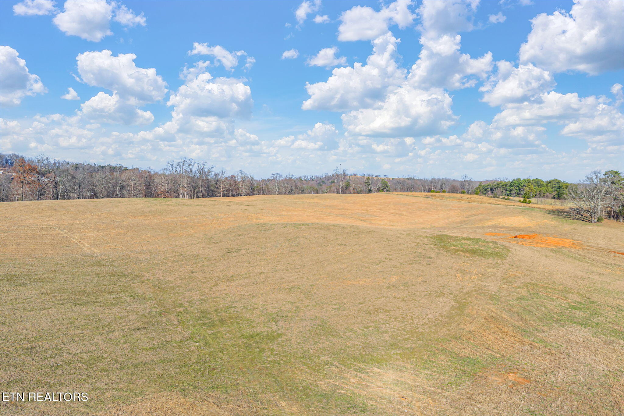Strawberry Plains, Tennessee, 37871, United States, 3 Bedrooms Bedrooms, ,2 BathroomsBathrooms,Residential,Active,2007043