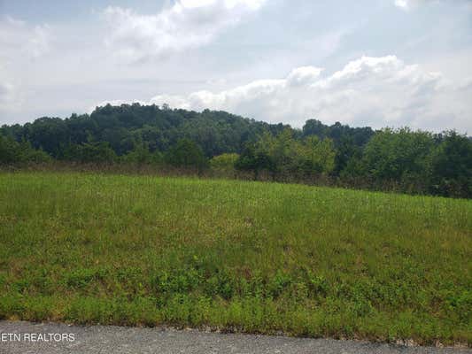 LARIMAR LANE, NEW TAZEWELL, TN 37825 - Image 1