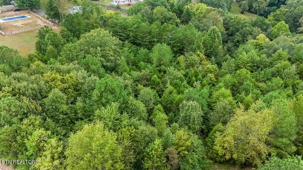 OCOEE RIVER LANDING DRIVE, BENTON, TN 37307, photo 3 of 19