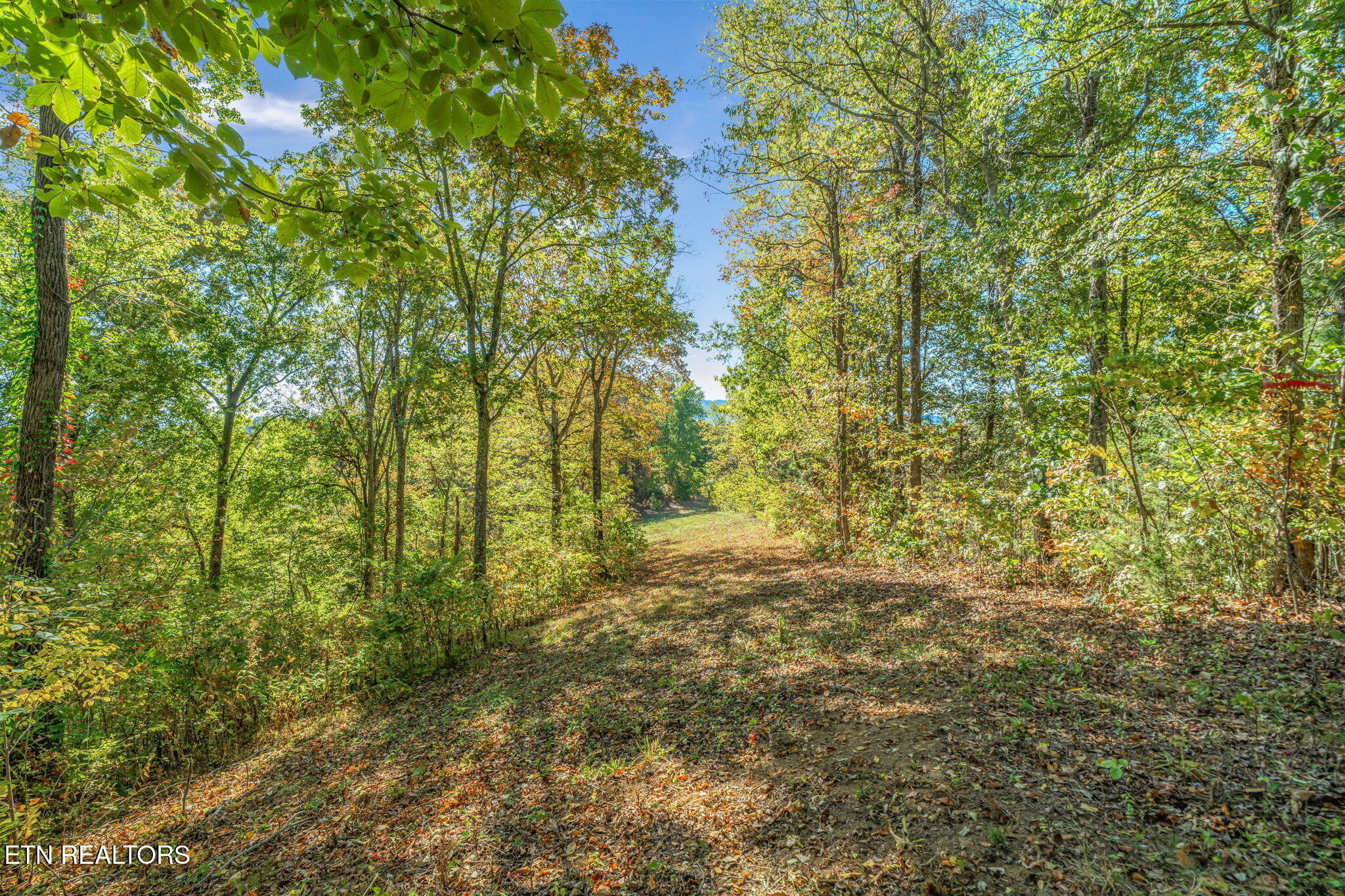 Seymour, Tennessee, 37865, United States, 2 Bedrooms Bedrooms, ,2 BathroomsBathrooms,Residential,Active,1966023