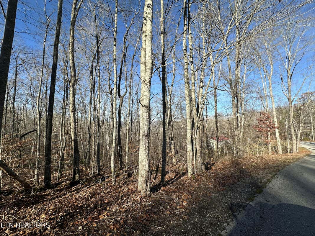 LOT 39 KAYS DRIVE, LAFOLLETTE, TN 37766, photo 1 of 6