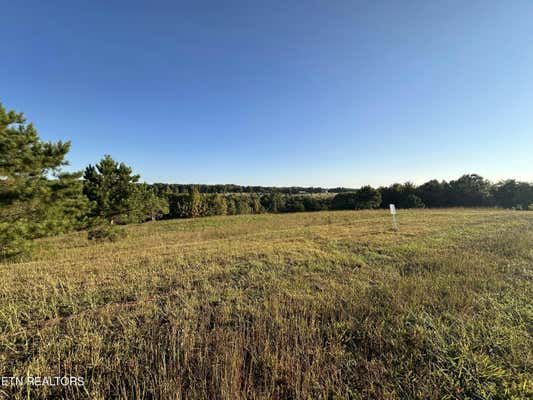 12.48 AC NICHOL CREEK DRIVE, JAMESTOWN, TN 38556, photo 4 of 9