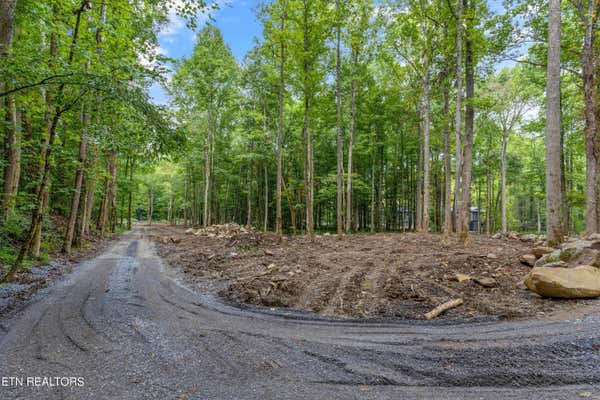 FONTAINE WAY, GATLINBURG, TN 37738, photo 4 of 11