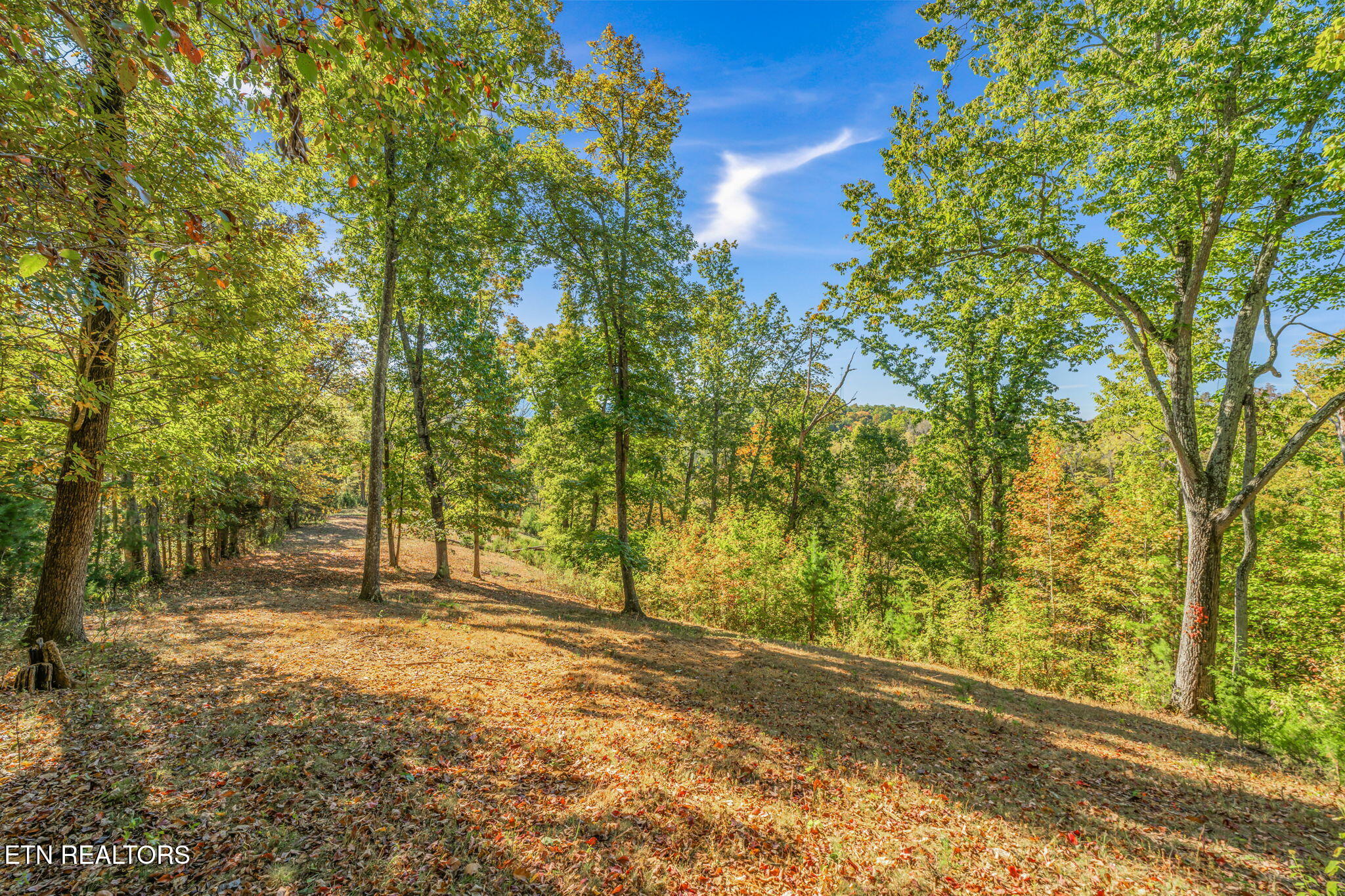 Seymour, Tennessee, 37865, United States, 2 Bedrooms Bedrooms, ,2 BathroomsBathrooms,Residential,Active,1966023