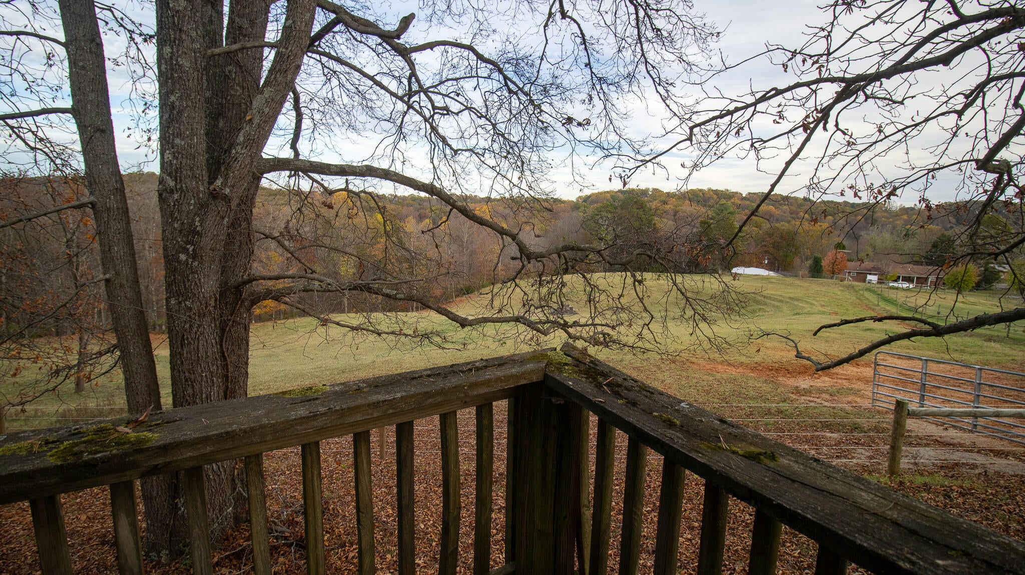 Talbott, Tennessee, 37877, United States, ,2 BathroomsBathrooms,Residential,Active,1769684