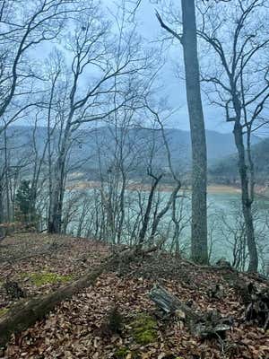 LOT 52 HICKORY KNOLL CIRCLE, WHITESBURG, TN 37891 - Image 1