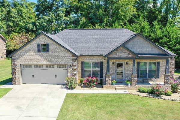 506 KATERINA DR, MORRISTOWN, TN 37814 - Image 1