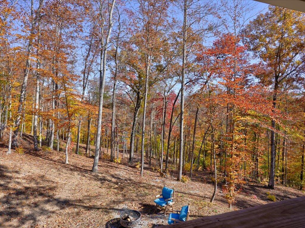 New Tazewell, Tennessee, 37825, United States, 2 Bedrooms Bedrooms, ,2 BathroomsBathrooms,Residential,Active,2007066