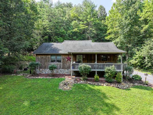 401 SCIOTO RD, UNICOI, TN 37692 - Image 1