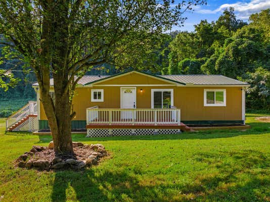 2314 DARK HOLLOW RD, COSBY, TN 37722 - Image 1