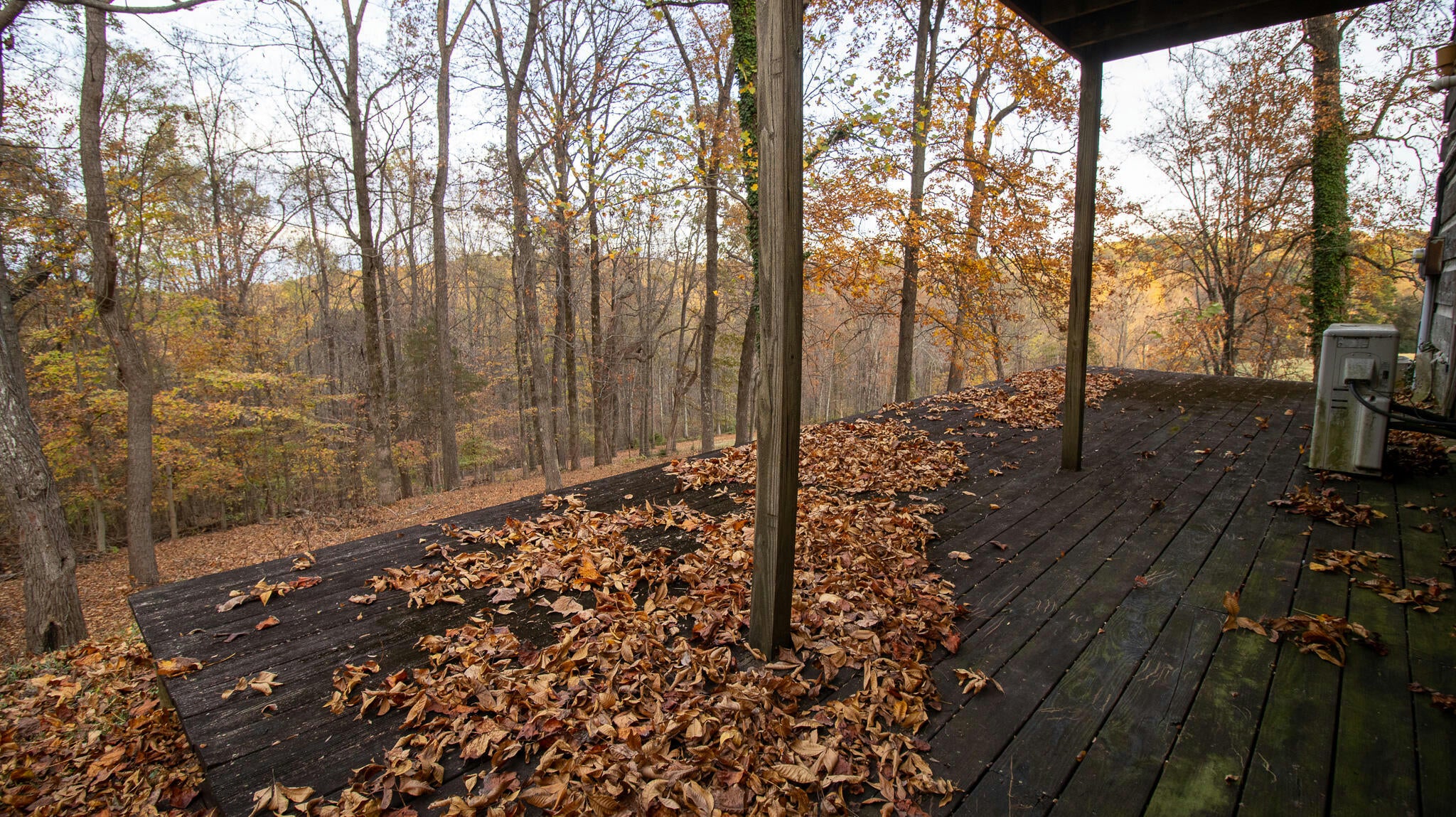 Talbott, Tennessee, 37877, United States, ,2 BathroomsBathrooms,Residential,Active,1769684