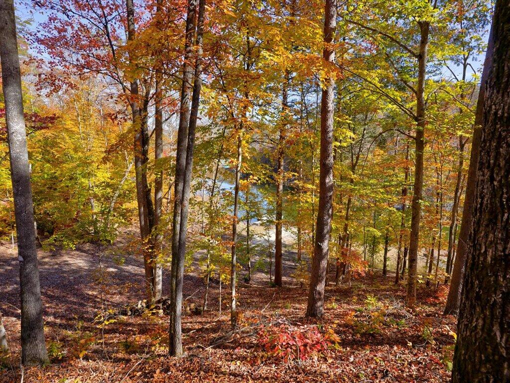 New Tazewell, Tennessee, 37825, United States, 2 Bedrooms Bedrooms, ,2 BathroomsBathrooms,Residential,Active,2007066