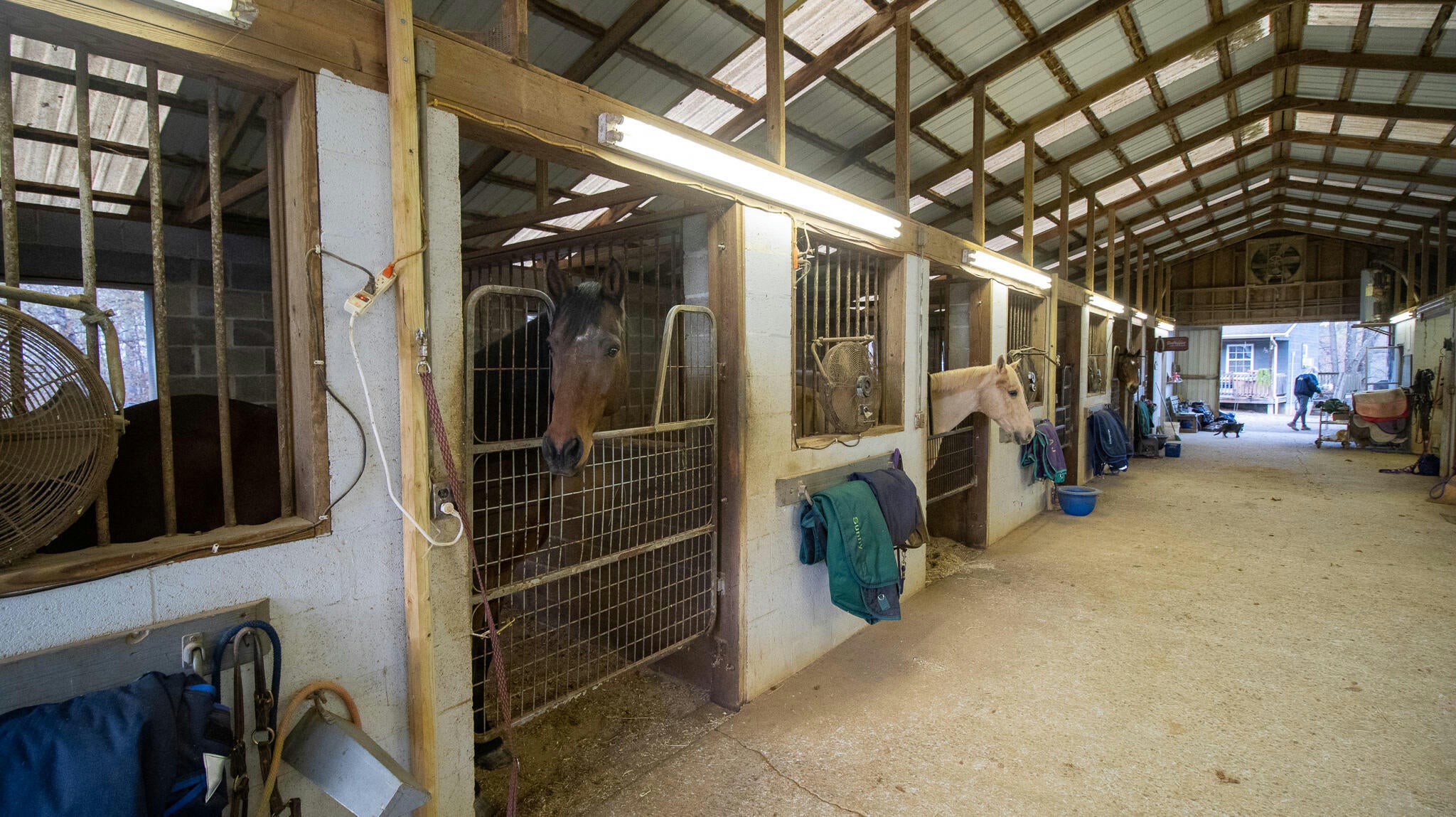 Talbott, Tennessee, 37877, United States, ,2 BathroomsBathrooms,Residential,Active,1769684