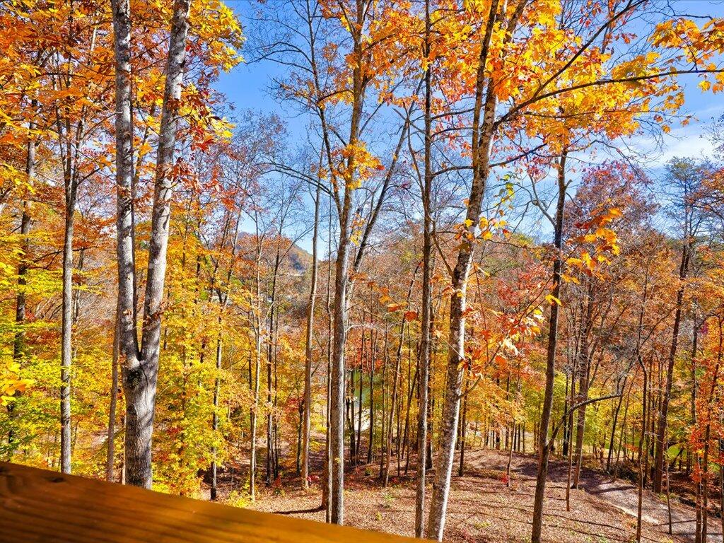 New Tazewell, Tennessee, 37825, United States, 2 Bedrooms Bedrooms, ,2 BathroomsBathrooms,Residential,Active,2007066