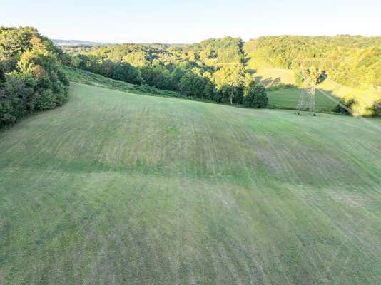 LOT 2 LONG TOWN ROAD, BULLS GAP, TN 37711 - Image 1