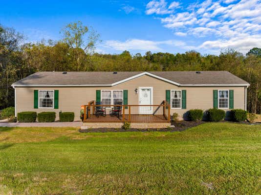 969 DUKES RD, WHITE PINE, TN 37890 - Image 1