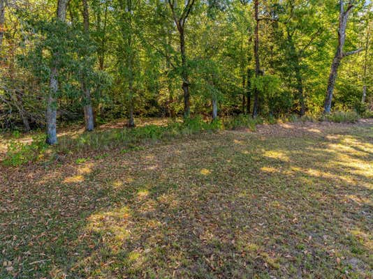 LOT 57 SUNSET BOULEVARD, WHITE PINE, TN 37890, photo 4 of 12