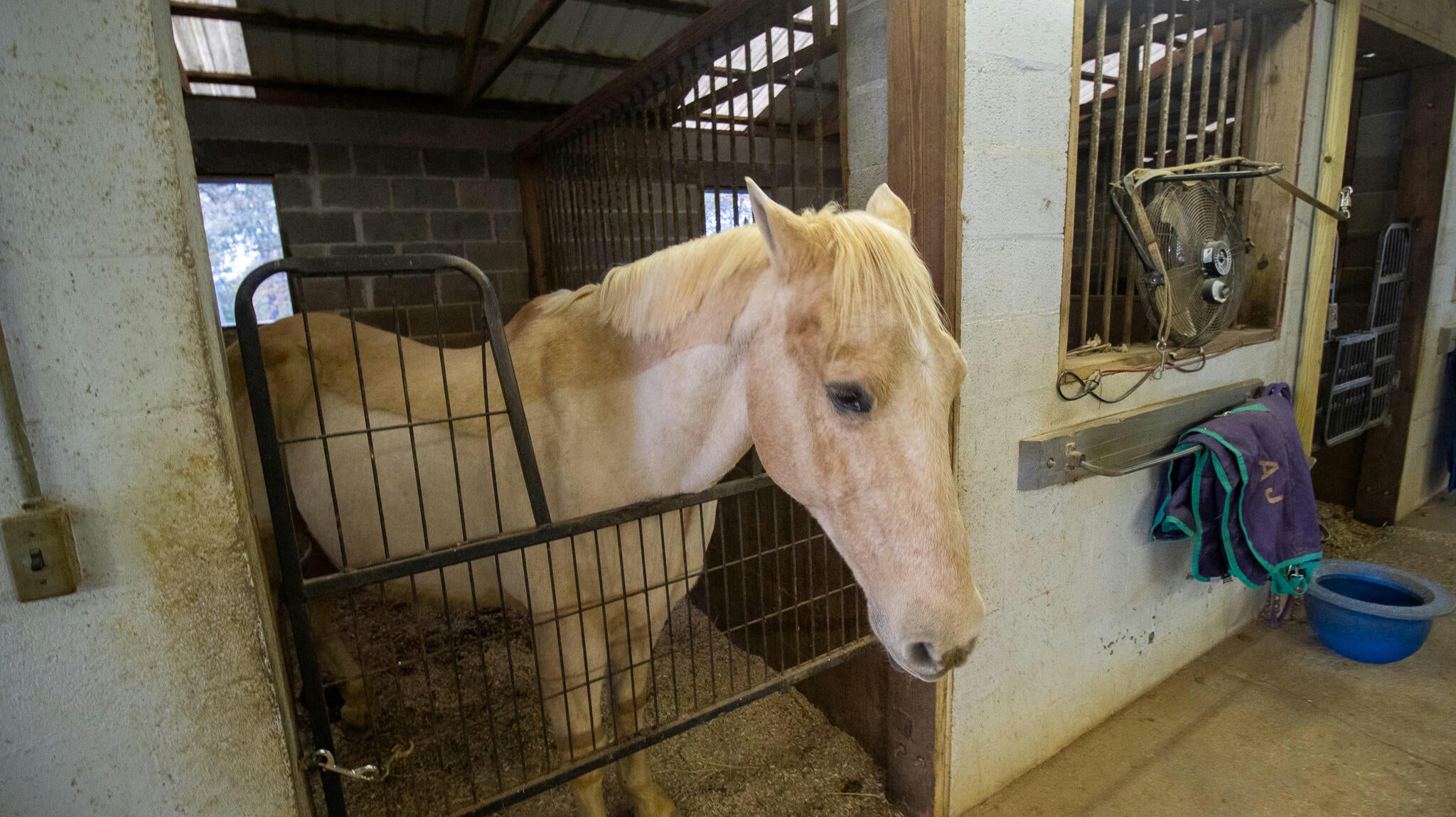 Talbott, Tennessee, 37877, United States, ,2 BathroomsBathrooms,Residential,Active,1769684