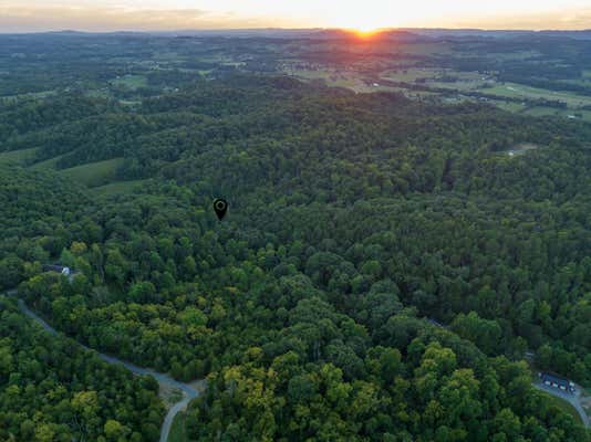 263 BUZZARD ROOST RD, BULLS GAP, TN 37711 - Image 1