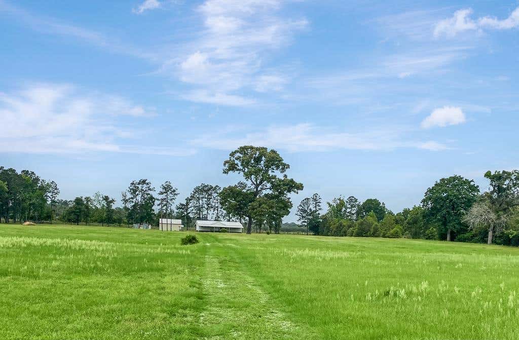 18944 STATE HIGHWAY 87 S