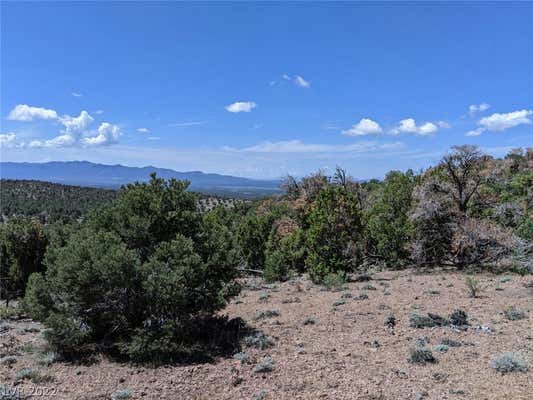 PINION PINE RD-APN 006-041-32, PIOCHE, NV 89043, photo 3 of 10