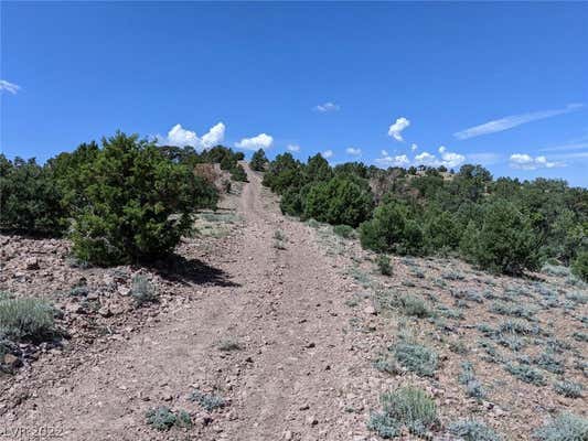 PINION PINE RD-APN 006-041-32, PIOCHE, NV 89043, photo 2 of 10