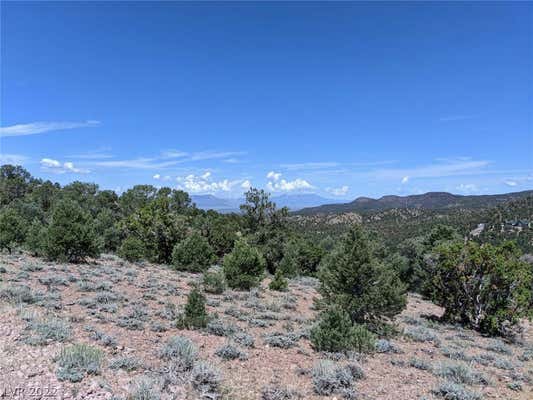 PINION PINE RD-APN 006-041-32, PIOCHE, NV 89043 - Image 1