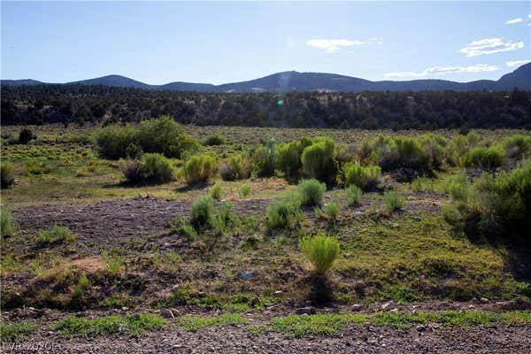 DUCK CREEK DEVELOPMENT ROAD, ELY, NV 89301, photo 2 of 20