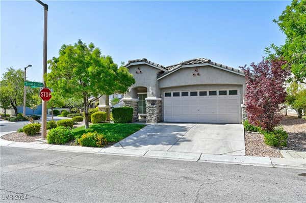 3399 JASMINE VINE CT, LAS VEGAS, NV 89135 - Image 1