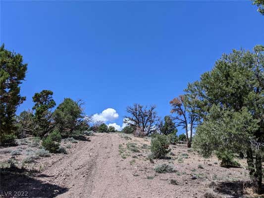 PINION PINE RD-APN 006-041-32, PIOCHE, NV 89043, photo 4 of 10