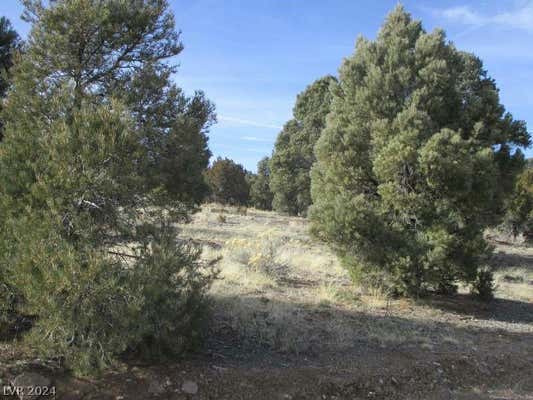 NEVADA HWY 322 (13.753 AC), PIOCHE, NV 89043 - Image 1