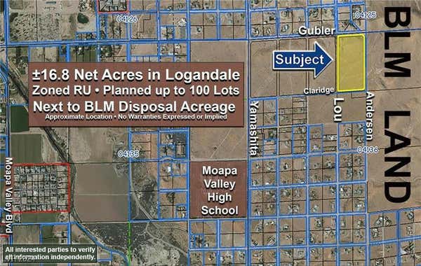 16.8 ACRES • APN 041-36-101-005, LOGANDALE, NV 89021 - Image 1