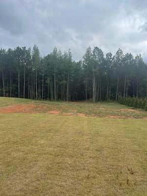 LOT 2A-1 LEE ROAD 155, SALEM, AL 36874 - Image 1