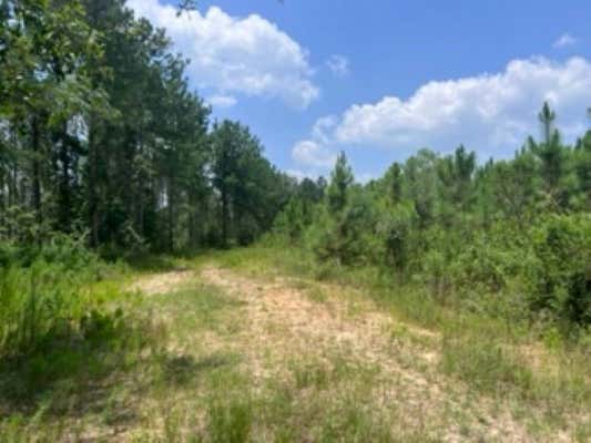 0 N COUNTY ROAD 72 N # 0, ARITON, AL 36311 - Image 1