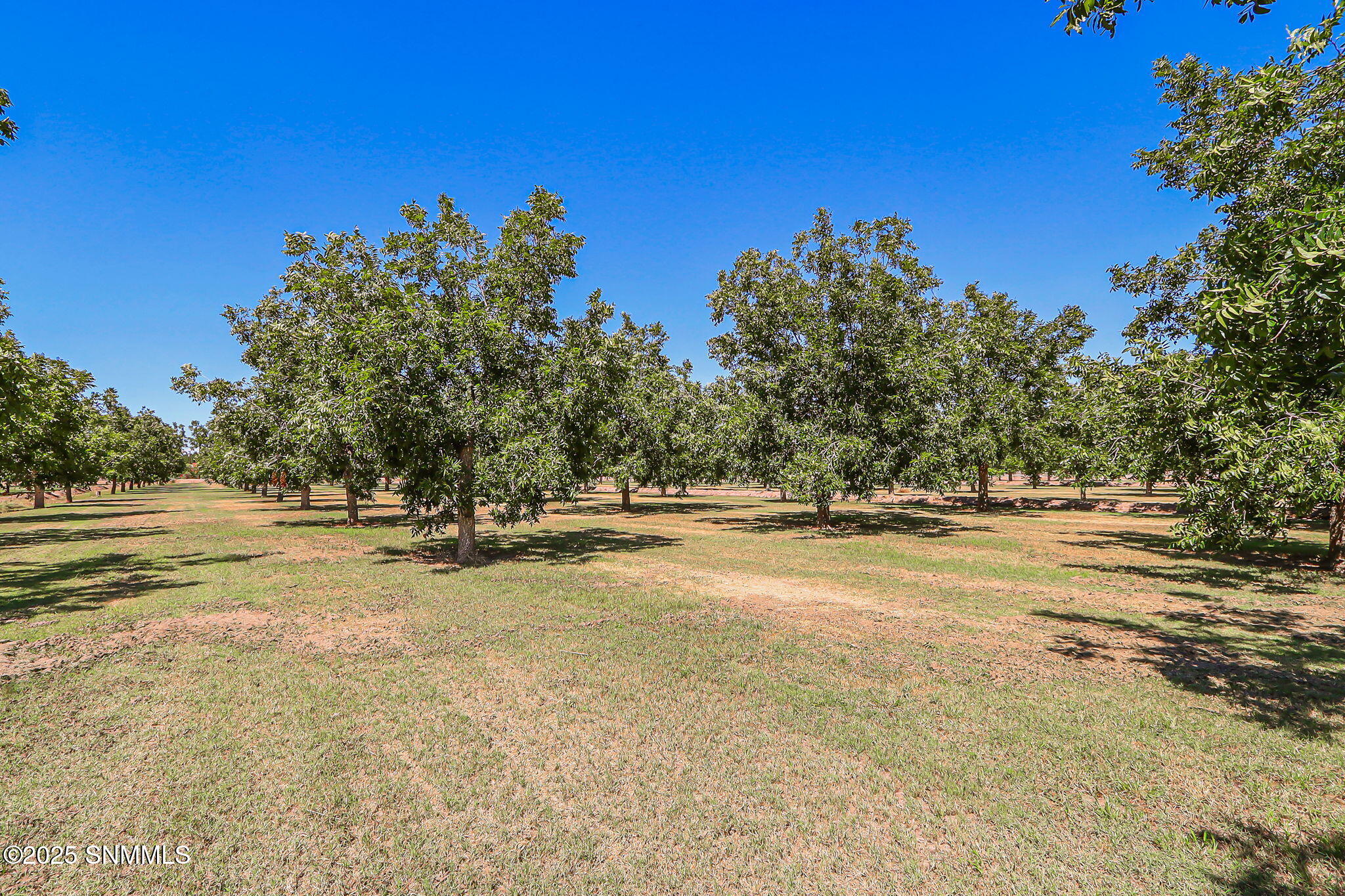 Las Cruces, New Mexico, 88007, United States, 3 Bedrooms Bedrooms, ,4 BathroomsBathrooms,Residential,Active,1945057