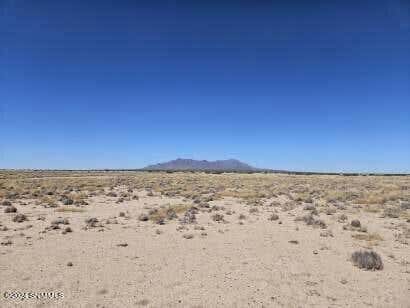 167 SE WHIRLWIND RD # 169, DEMING, NM 88030 - Image 1