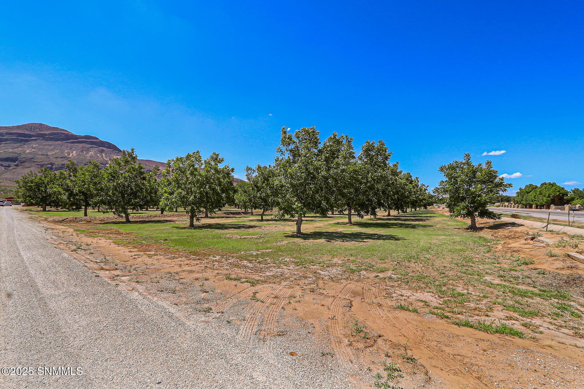 Las Cruces, New Mexico, 88007, United States, 3 Bedrooms Bedrooms, ,4 BathroomsBathrooms,Residential,Active,1945057