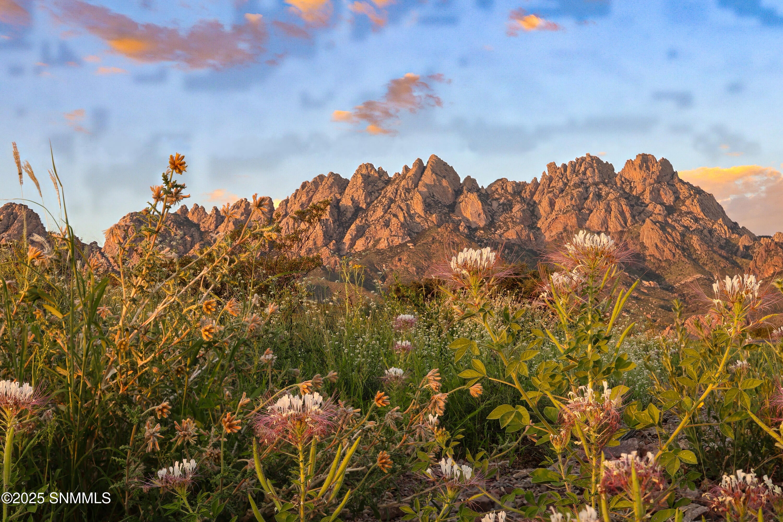 Las Cruces, New Mexico, 88011, United States, 4 Bedrooms Bedrooms, ,4 BathroomsBathrooms,Residential,Active,1963388