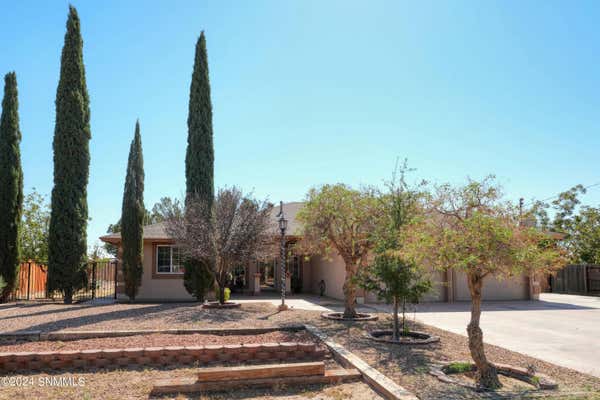 1238 YUCCA RD, MESILLA PARK, NM 88047 - Image 1