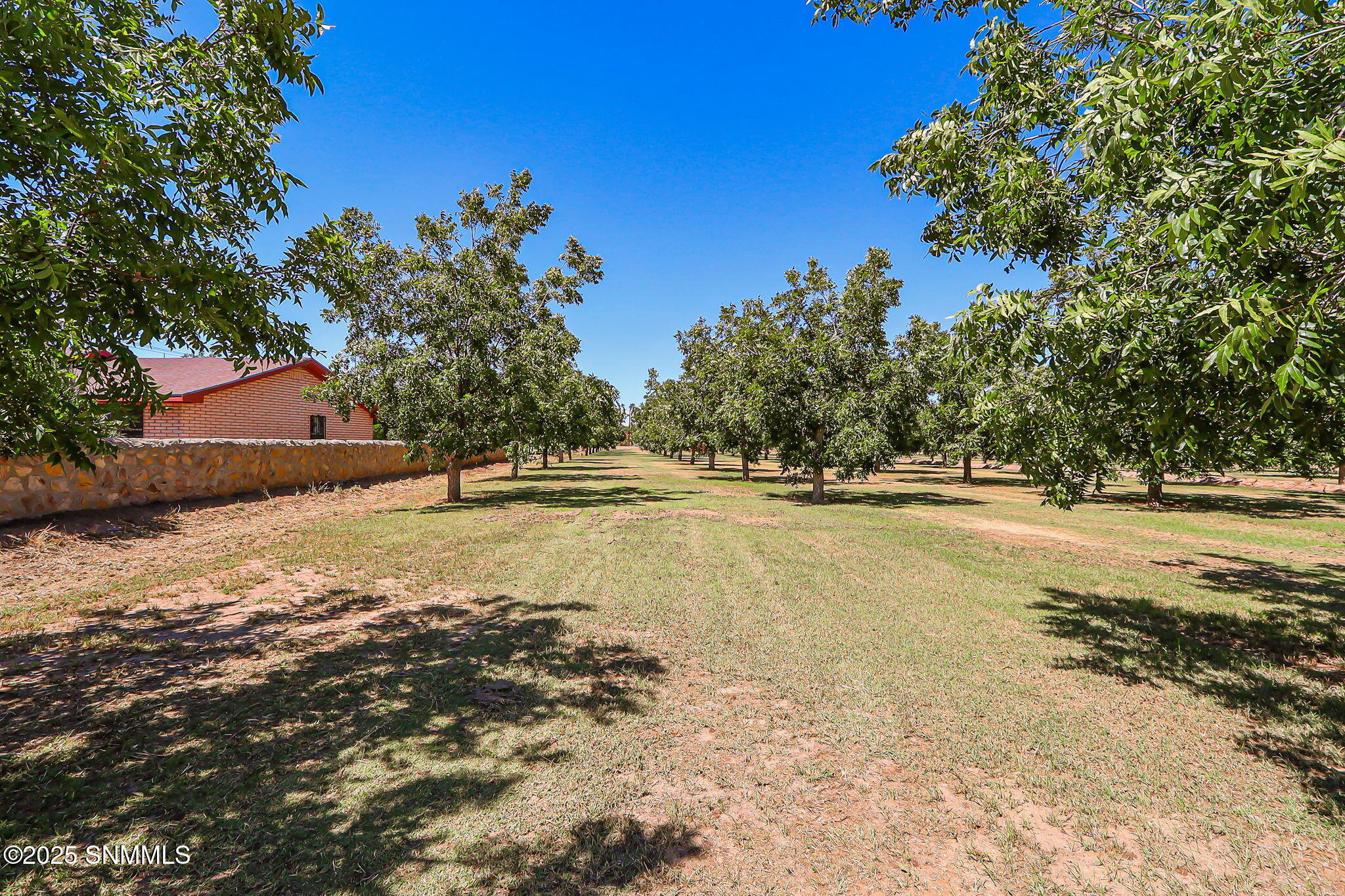 Las Cruces, New Mexico, 88007, United States, 3 Bedrooms Bedrooms, ,4 BathroomsBathrooms,Residential,Active,1945057
