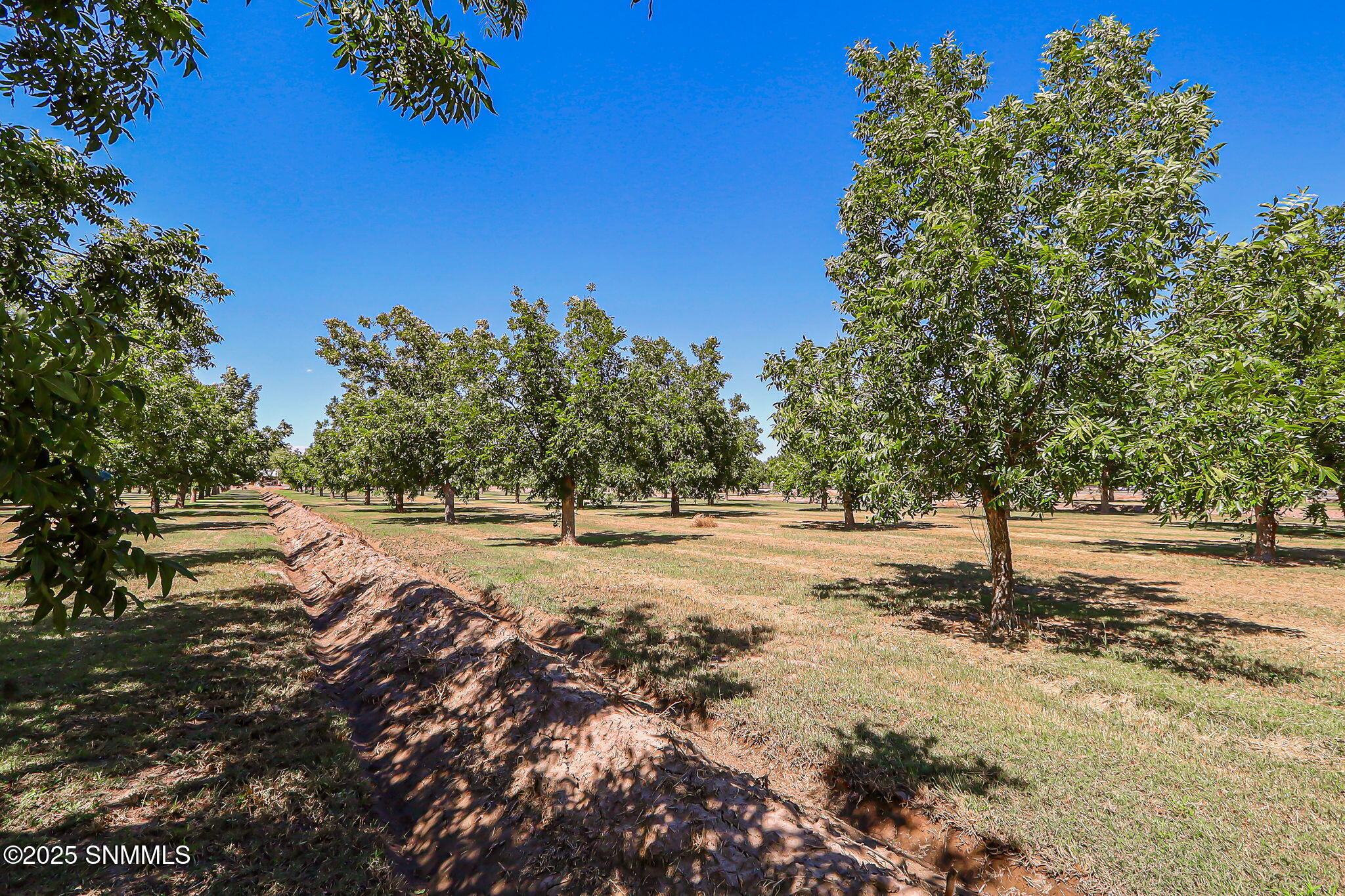 Las Cruces, New Mexico, 88007, United States, 3 Bedrooms Bedrooms, ,4 BathroomsBathrooms,Residential,Active,1945057