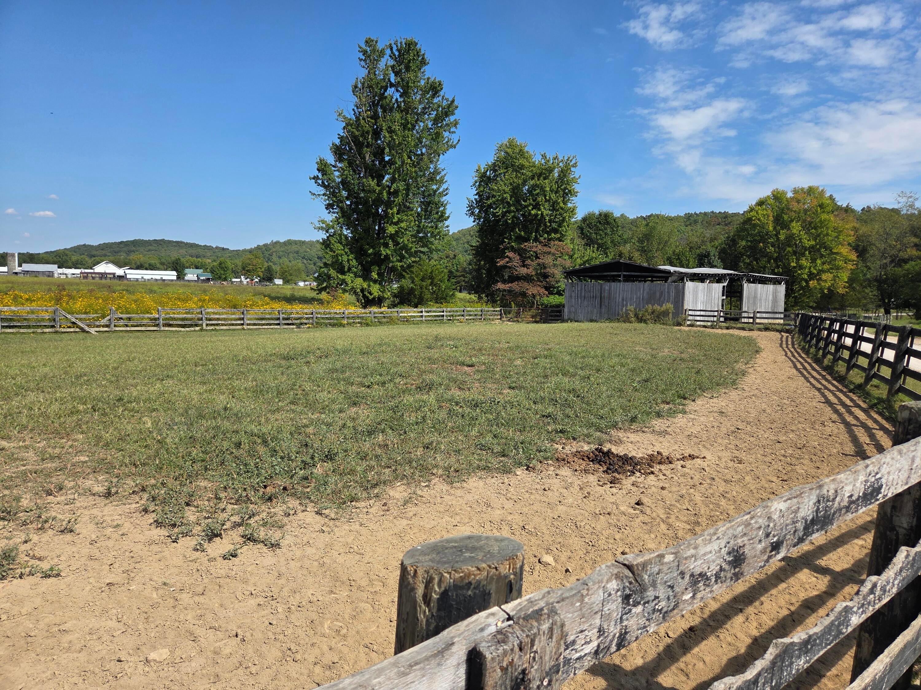 Owingsville, Kentucky, 40360, United States, 10 Bedrooms Bedrooms, ,Residential,Active,1996282