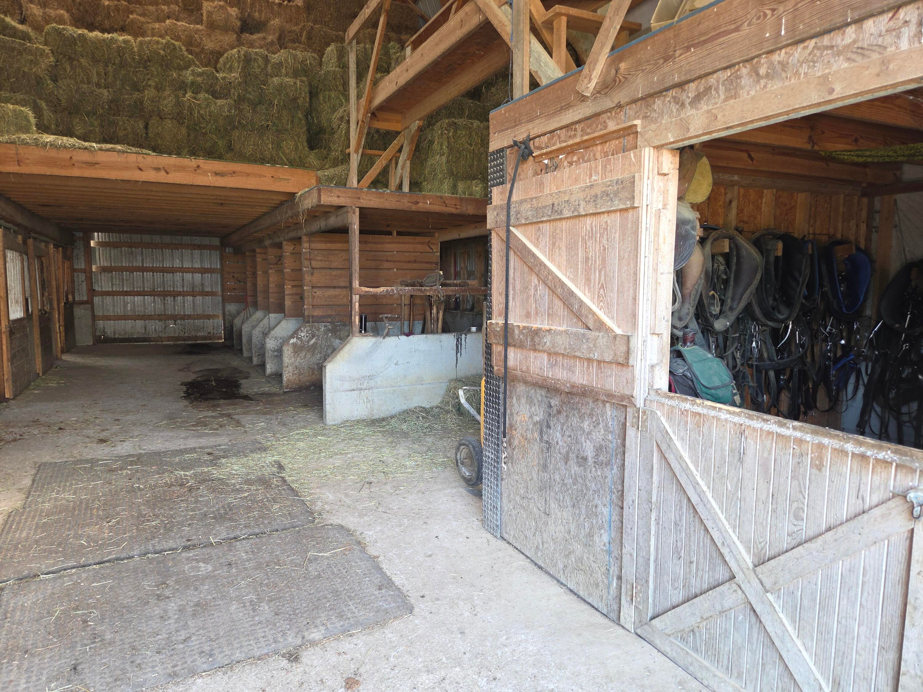 Owingsville, Kentucky, 40360, United States, 10 Bedrooms Bedrooms, ,Residential,Active,1996282