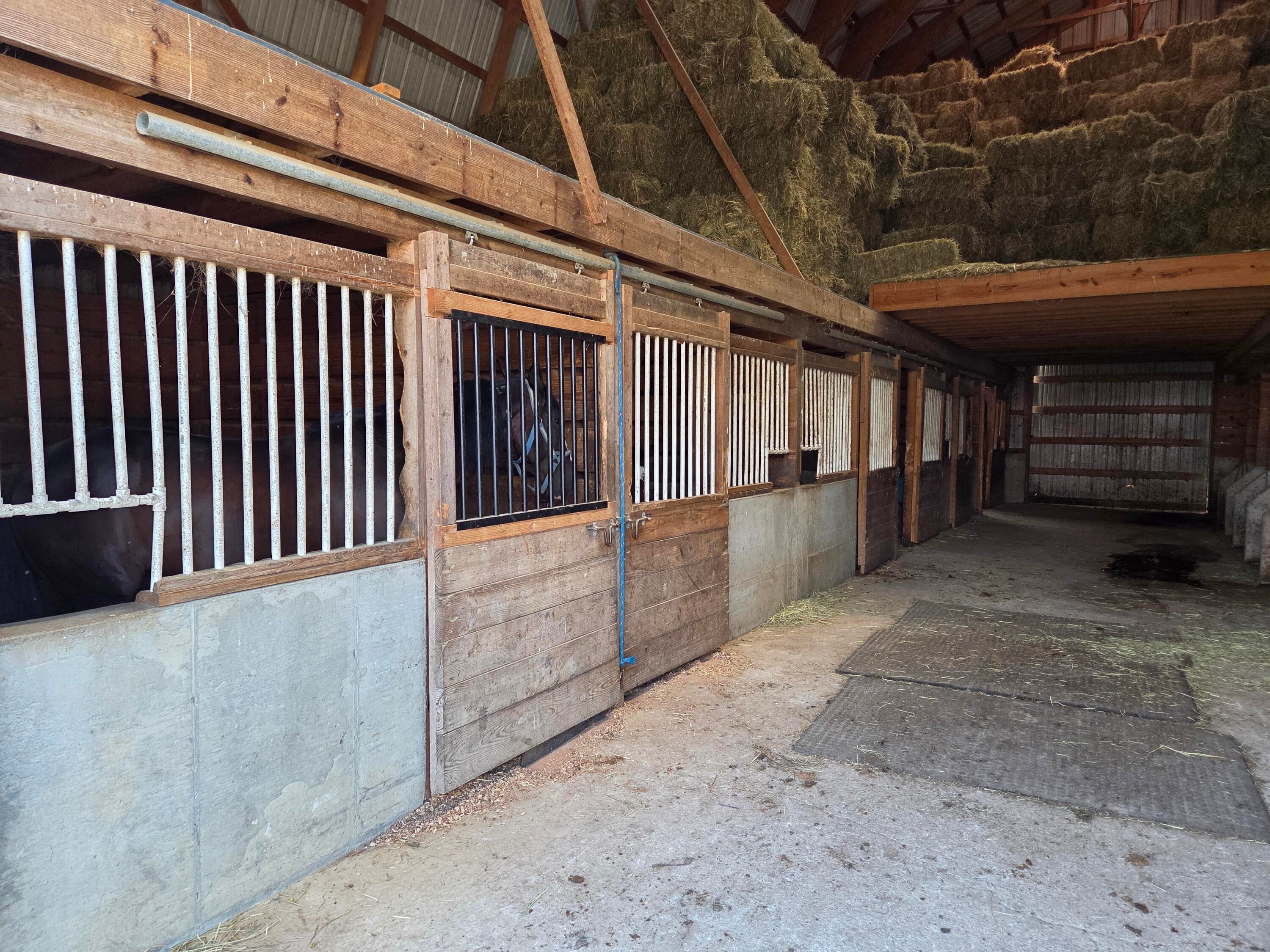 Owingsville, Kentucky, 40360, United States, 10 Bedrooms Bedrooms, ,Residential,Active,1996282